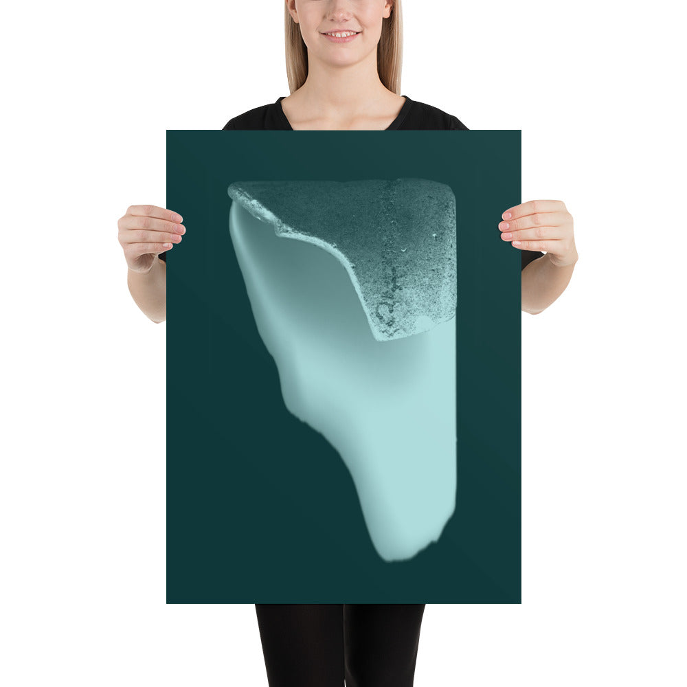 Poster 8163