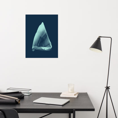 Poster 01