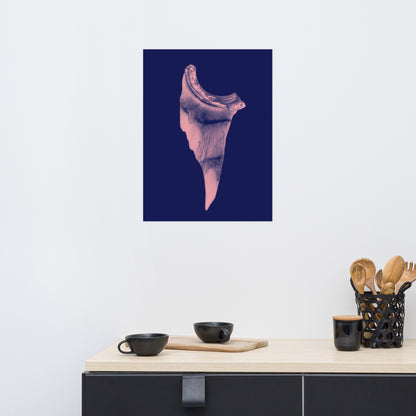 Poster 7817