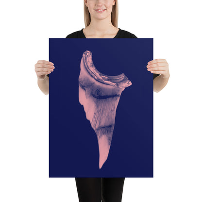 Poster 7817