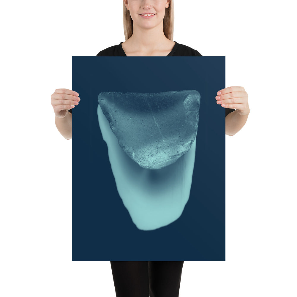 Poster 7895
